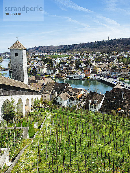 Schweiz  Schaffhausen  Blick von Munot auf den Rhein
