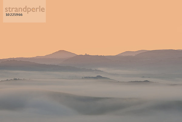 Italien  Toskana  Val d'Orcia  Blick auf hügelige Landschaft bei Sonnenaufgang im Nebel