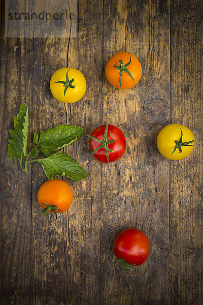 Sechs verschiedene Tomaten auf Holz