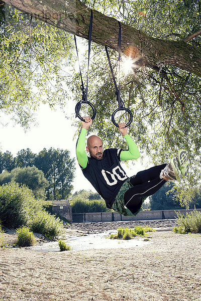 Mann bei der CrossFit-Übung an Ringen  die am Baumstamm hängen