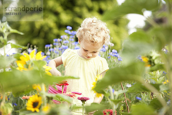 Kleines Mädchen  das im Garten steht und Blumen gießt.