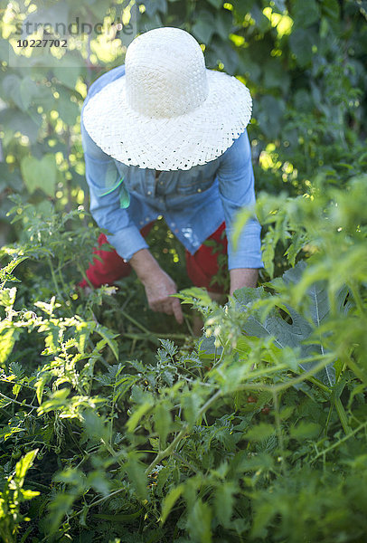 Seniorin mit Strohhut bei der Arbeit im Garten