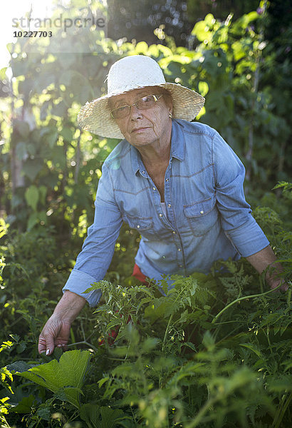 Porträt einer älteren Frau mit Strohhut im Garten
