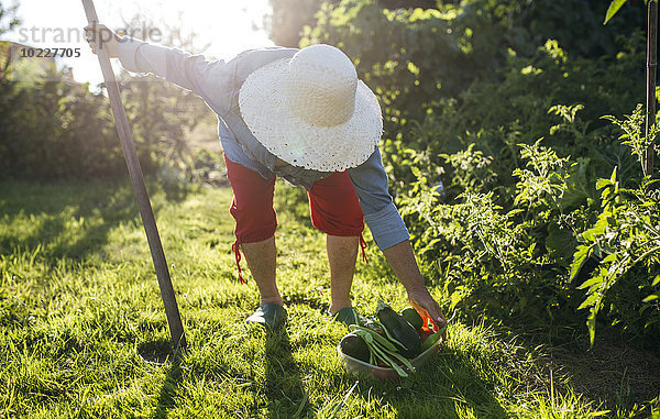 Seniorin mit Strohhut bei der Arbeit im Garten