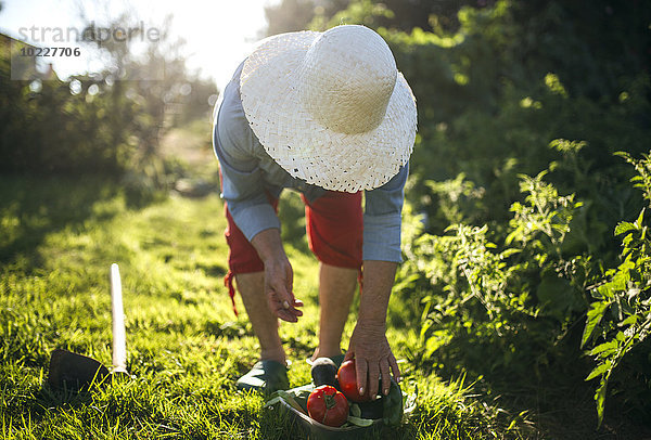 Seniorin mit Strohhut bei der Arbeit im Garten