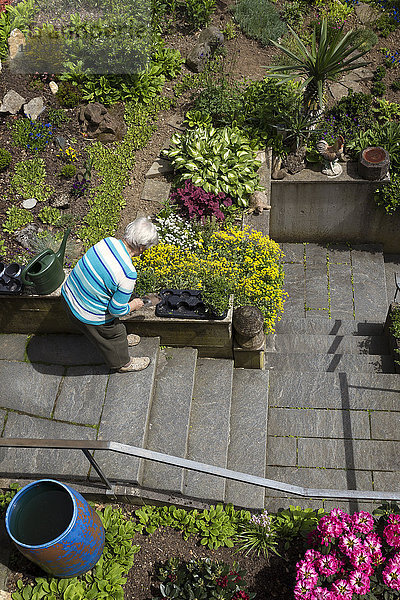 Seniorin bei der Arbeit im Garten