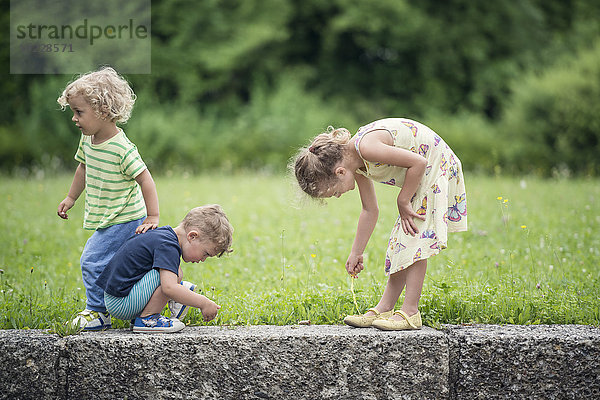 Drei kleine Kinder spielen zusammen