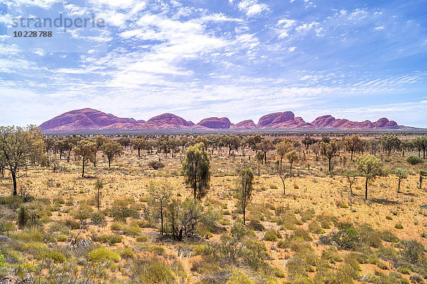 Australien  Nordterritorium  Yulara  Uluru-Kata Tjuta Nationalpark  Kata Tjuta
