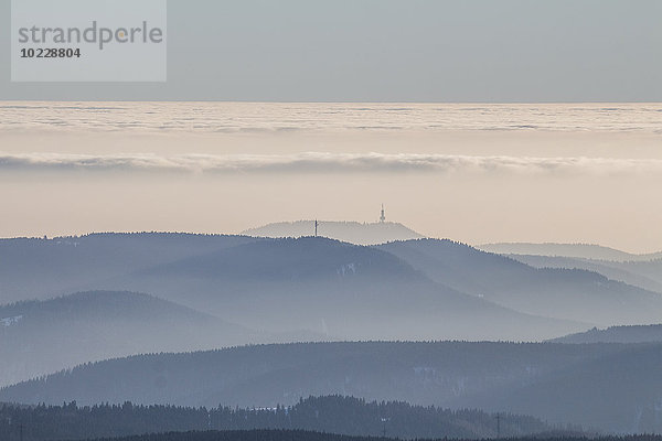 Deutschland  Sachsen-Anhalt  Nationalpark Harz  Nadelwald  atmosphärische Invertierung