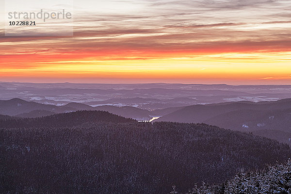 Deutschland  Sachsen-Anhalt  Nationalpark Harz  Winterlandschaft bei Sonnenuntergang