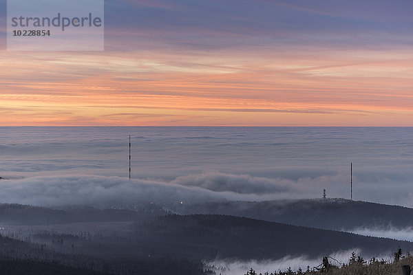 Deutschland  Sachsen-Anhalt  Nationalpark Harz  Stimmungsumkehr am Abend