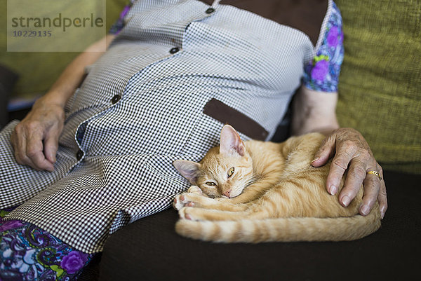 Tabby Kätzchen neben alter Frau auf der Couch liegend