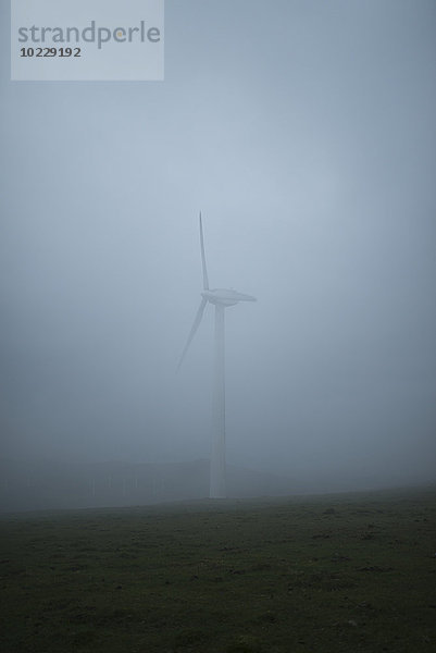 Spanien  Ortigueira  Windkraftanlage bei starkem Nebel