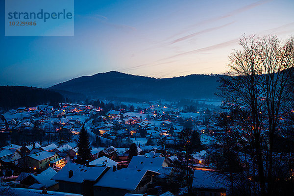 Deutschland  Bayern  Bodenmais  Dorf im Winter  blaue Stunde