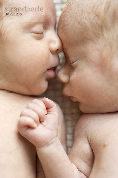 Neugeborene Zwillinge schlafen Kopf an Kopf