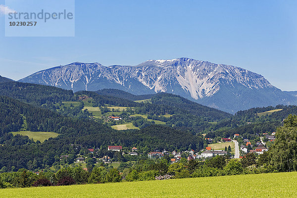 Österreich  Niederösterreich  Wiener Alpen  Schneeberg und Grünbach