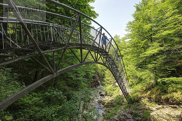 Österreich  Niederösterreich  Mostviertel  Eisenwurzen  Ybbsitz  Stahlbrücke