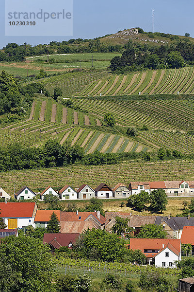 Österreich  Niederösterreich  Weinviertel  Falkenstein  Kreuzberg und Kellergasse