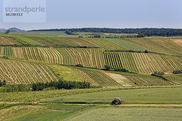 Österreich  Niederösterreich  Weinviertel  Falkenstein  Weinberge  Traktor auf Landstraße