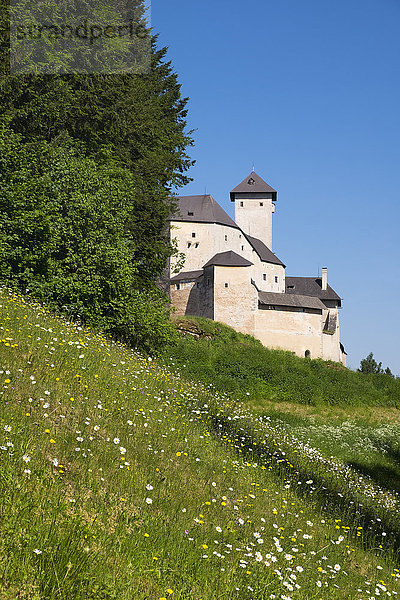 Österreich  Niederösterreich  Rappottenstein  Burg Rappottenstein