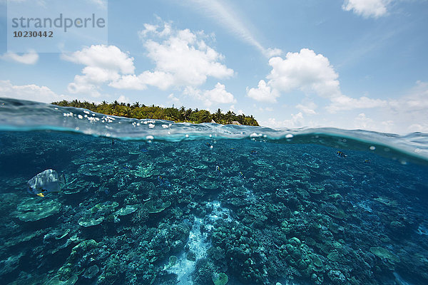 Malediven  Blick vom Indischen Ozean auf eine Insel