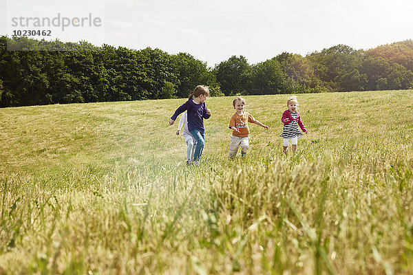 Vier kleine Kinder  die auf einer Wiese rennen.
