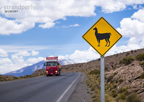 Chile  Lauca Nationalpark  Tierschild Kreuzung Lamas