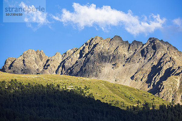 Italien  Südtirol  Vinschgau  Plamorder Spitze  Peak