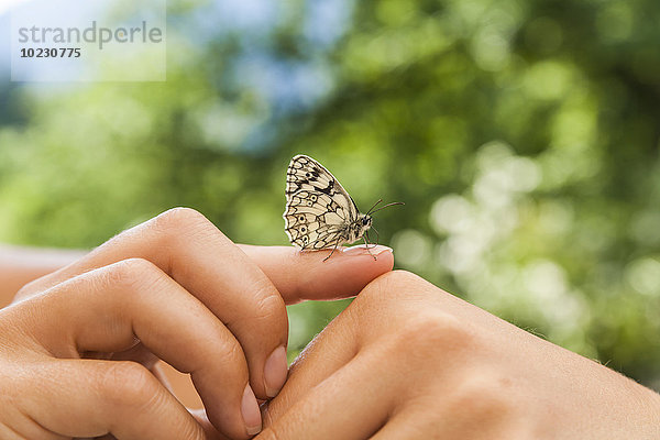 Schmetterling auf Frauenhand