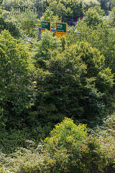Deutschland  Düsseldorf  Blick auf Straßenschilder zwischen Bäumen