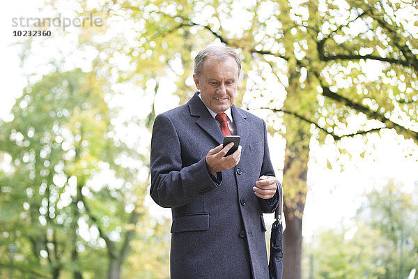 Lächelnder Geschäftsmann im Park mit Blick auf das Handy