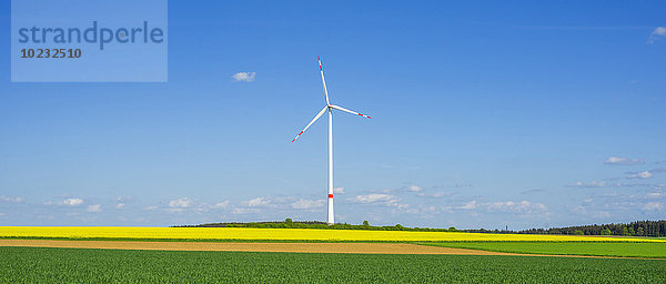 Deutschland  Tomerdingen  Windpark  Rapsfeld