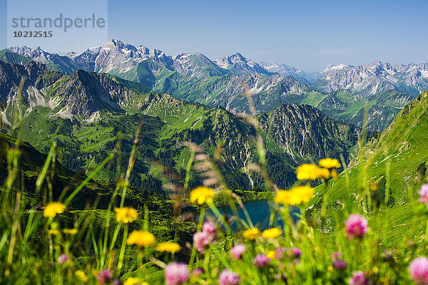 Deutschland  Bayern  Allgäuer Alpen  Blick vom Zeigersattel auf den Seealpsee