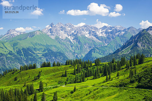 Deutschland  Bayern  Allgäu  Blick auf die Allgäuer Alpen  Zentraler Hauptkamm