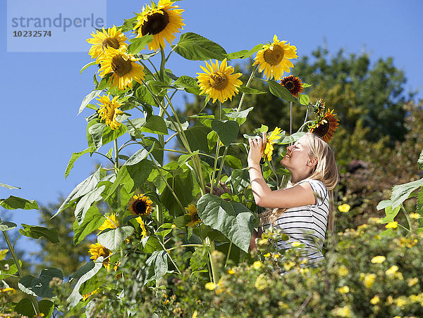 Junge Frau steht in einem Garten mit Sonnenblumen