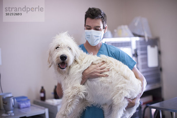 Tierarzt mit einem Hund