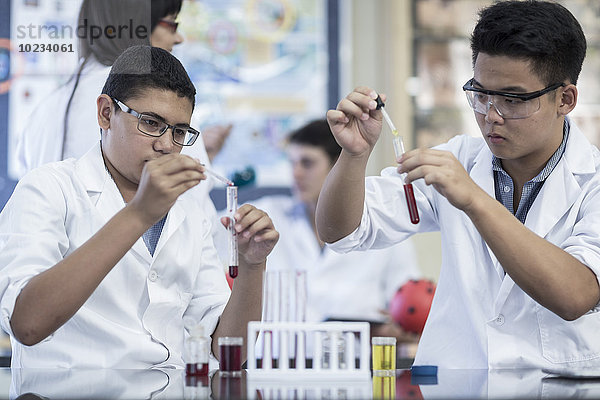 Studenten der Chemieklasse pipettieren Flüssigkeit in das Reagenzglas