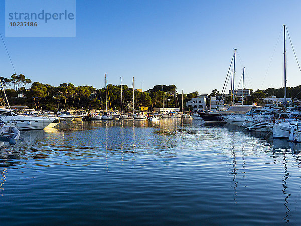 Spanien  Mallorca  Blick auf die Boote von Portopetro