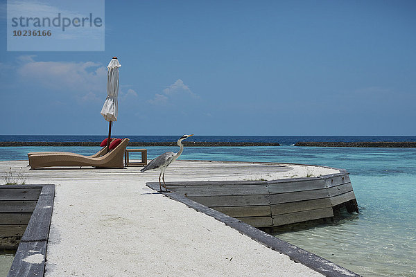 Malediven  Kran am Steg am Meer
