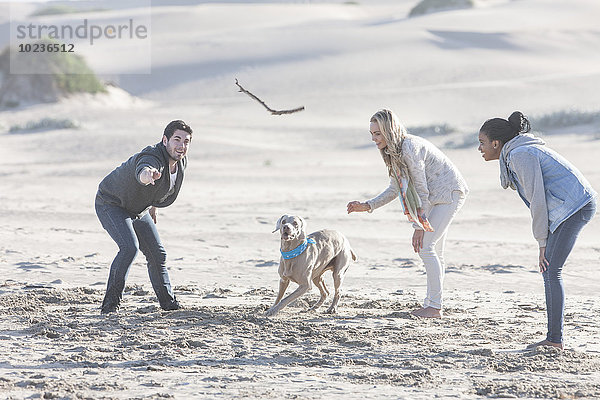 Südafrika  Kapstadt  drei Freunde spielen am Strand mit Hund