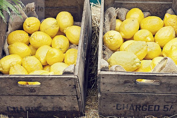 Frische Zitronen in Holzkisten