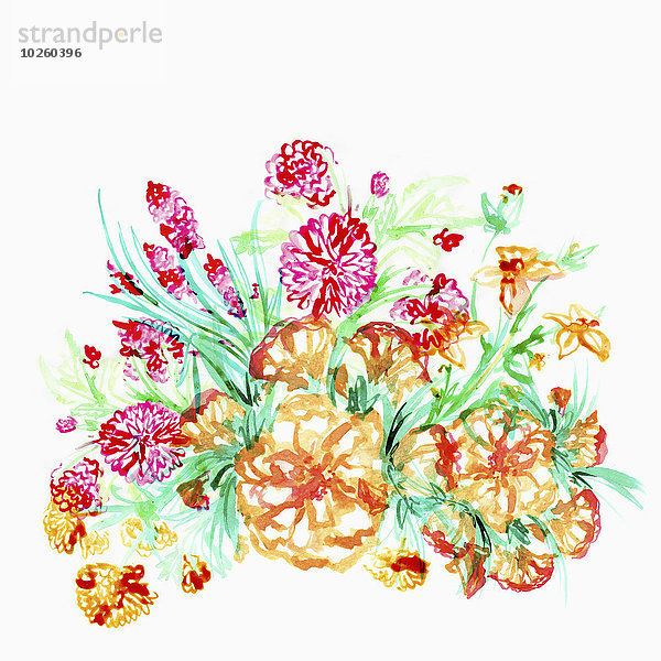 Illustration von Blumen auf weißem Hintergrund