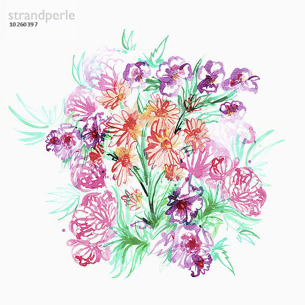 Illustration schöner Blumen auf weißem Hintergrund