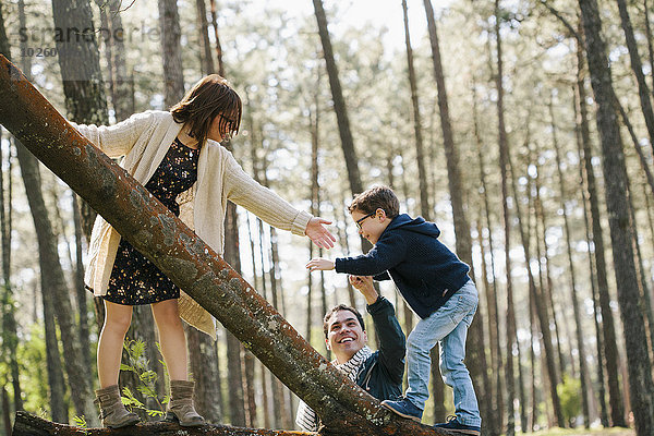 Glückliche Eltern helfen dem Sohn beim Baumklettern im Wald