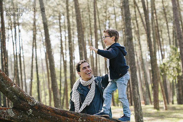 Glücklicher Vater hilft dem Sohn beim Baumklettern im Wald