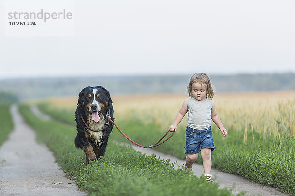 Mädchen beim Spaziergang mit Hund auf dem Feld