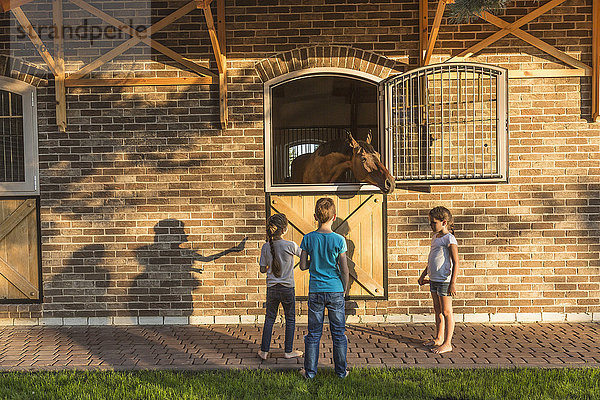 Kinder beobachten Pferd im Stall