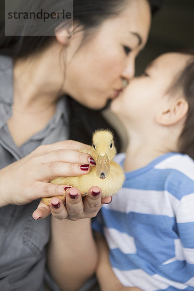 Frau Sohn küssen gelb halten jung Entenküken
