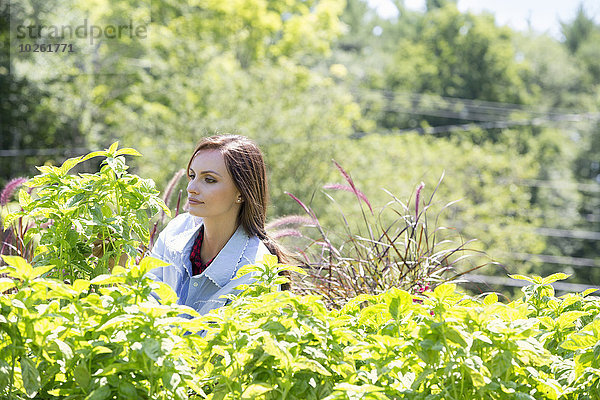 stehend junge Frau junge Frauen Wachstum Garten umgeben Strauch