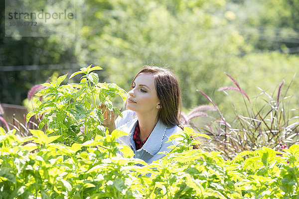 Außenaufnahme junge Frau junge Frauen Pflanze umgeben freie Natur